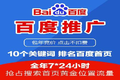 XX领域竞价广告的投放策略及效果展示